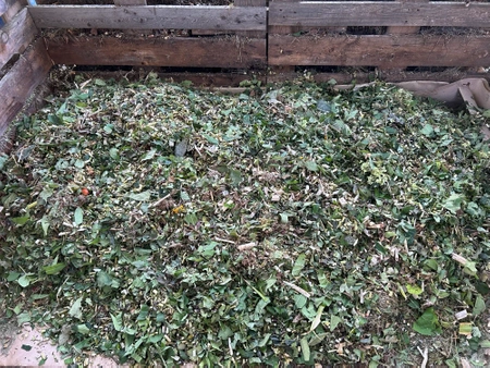 Rozdrabniacz elektryczny z przenośnikiem taśmowym MAK-22P-24